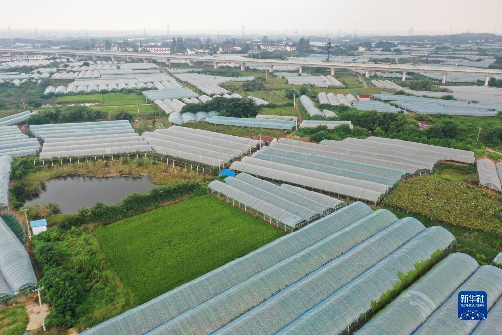 大阳城集团娱乐游戏手机版